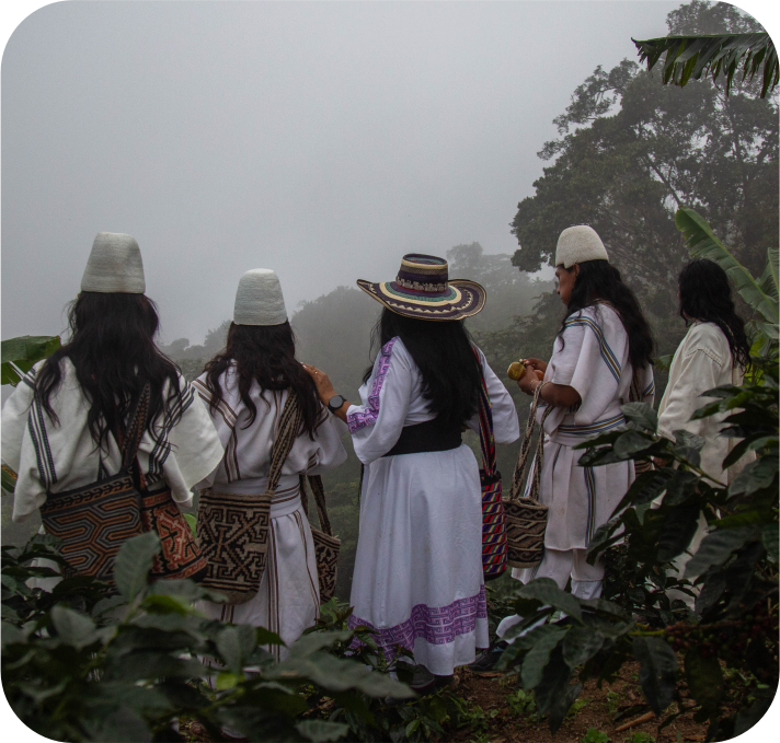 Armonía con la Naturaleza