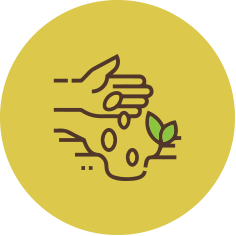 ICONO1