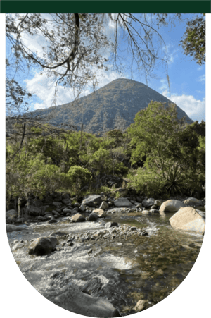 Rio Cesar