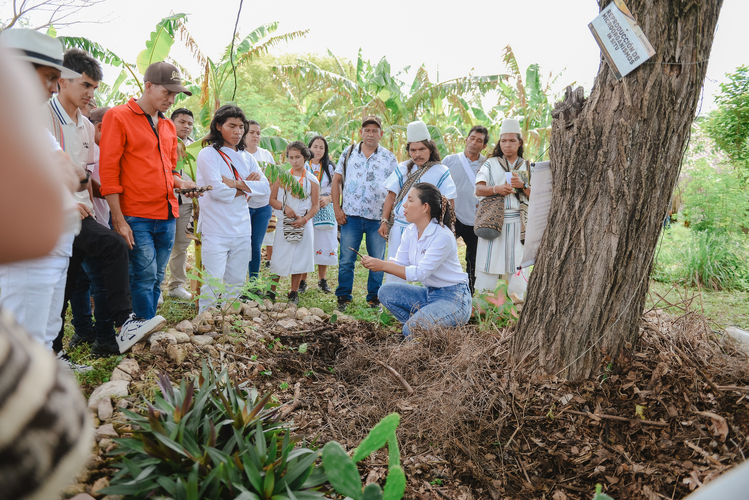ASISTENCIA TECNICA-1-1