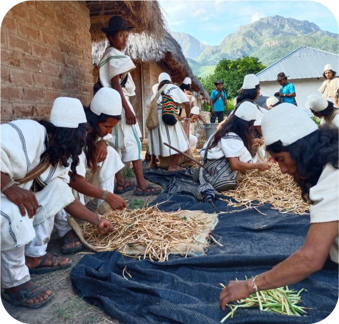 Tejer en comunidad