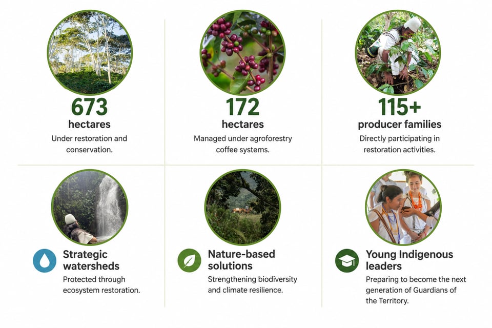 Impact at a Glance in Sierra Nevada de Santa Marta