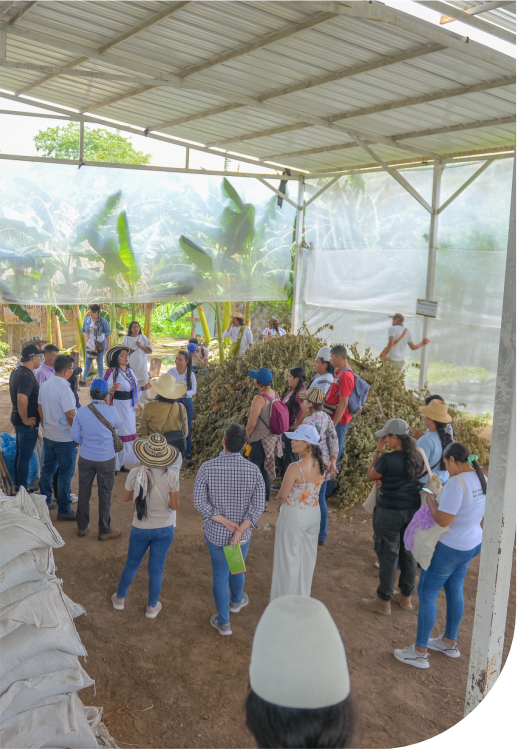 cooperacion 2